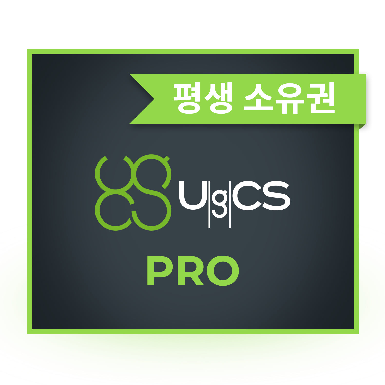 UgCS Pro[평생소유] 임무계획| 비행제어소프트웨어 헬셀